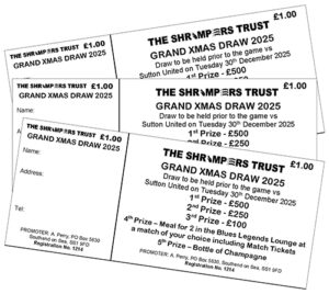 Draw Tickets Xmas 2025 x 3 (500)